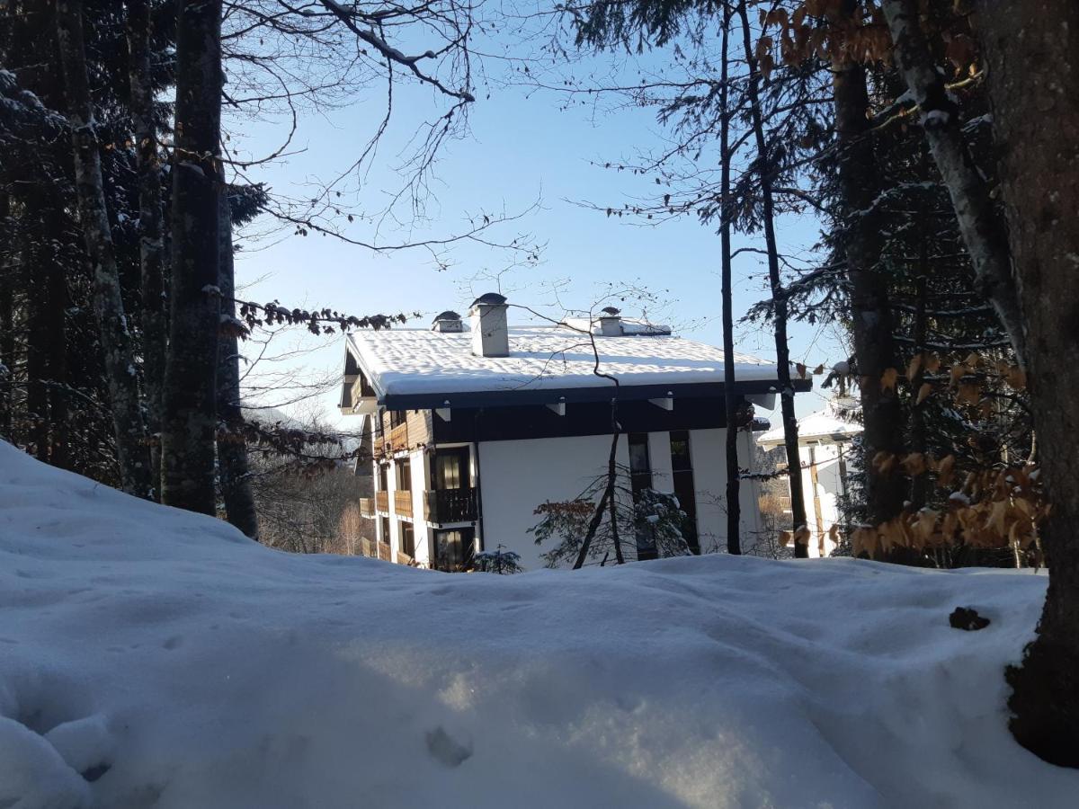 Appartement En Station De Ski A 700 M Des Telecabines Et 100 M Du Centre-Village Араш-ла-Фрасс Екстер'єр фото